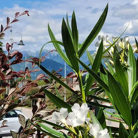 Hotel Al Collio 3*
