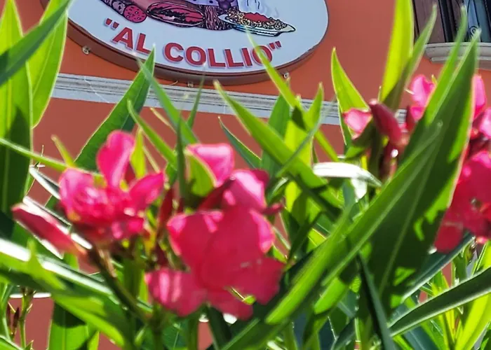 Szálloda Al Collio Reana Del Rojale